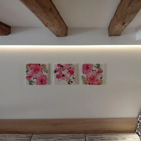 Corfucenterstudio 5 Апартаменты Corfu (city)